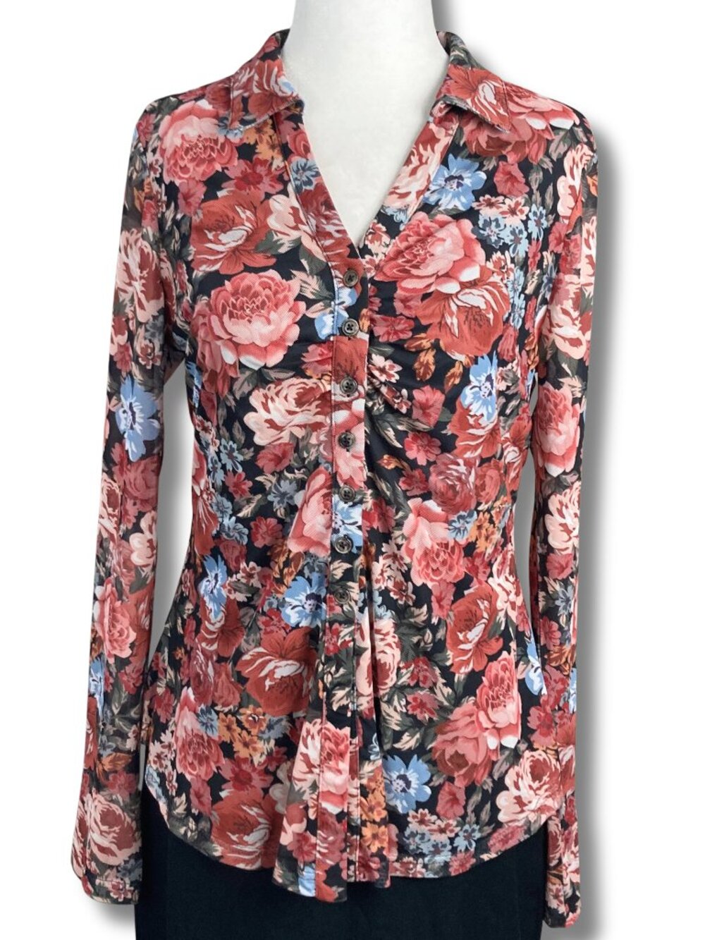 PRETTY GARDEN Dark floral print mesh button-down shirt whimsigoth MEDIUM LARGE